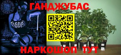a pvp Моздок