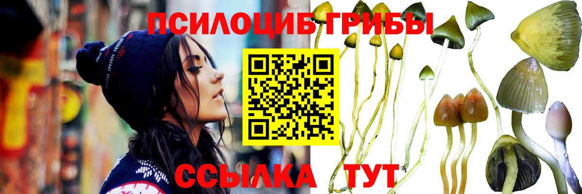 Ялуторовск  Галлюциногенные грибы GOLDEN TEACHER  Вход с VPN 